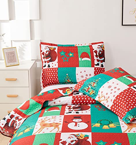 CHESITY Christmas Quilts Set Queen Size