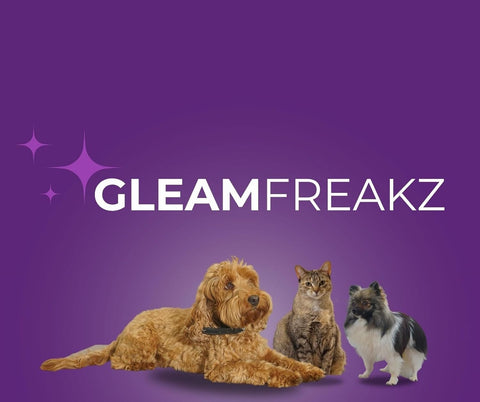 Gleam Roller Pet Hair Remover