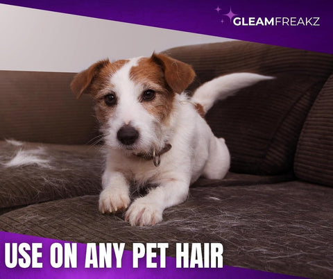 Gleam Roller Pet Hair Remover