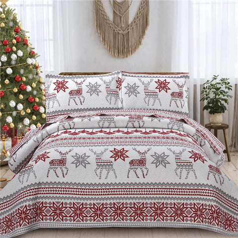 CHESITY Christmas Quilts Set Queen Size