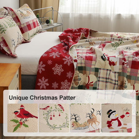 CHESITY Christmas Quilts Set Queen Size