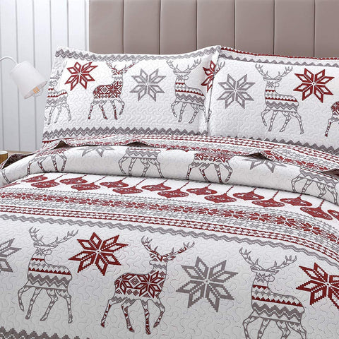 CHESITY Christmas Quilts Set Queen Size