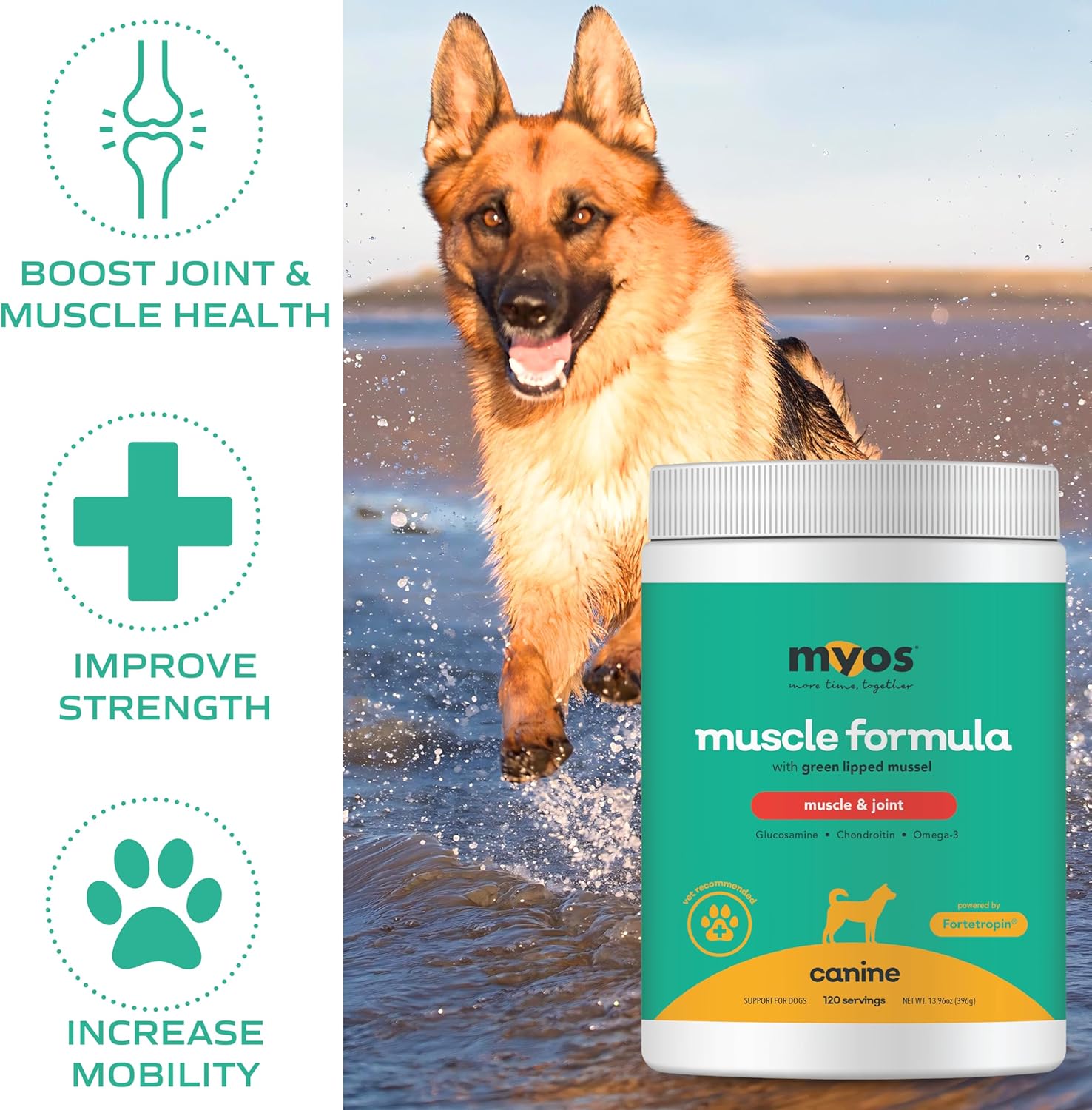 MYOS Canine Muscle & Joint Supplement- Fortetropin & Green Lipped Mussel