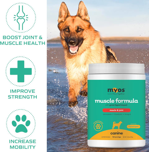 MYOS Canine Muscle & Joint Supplement- Fortetropin & Green Lipped Mussel