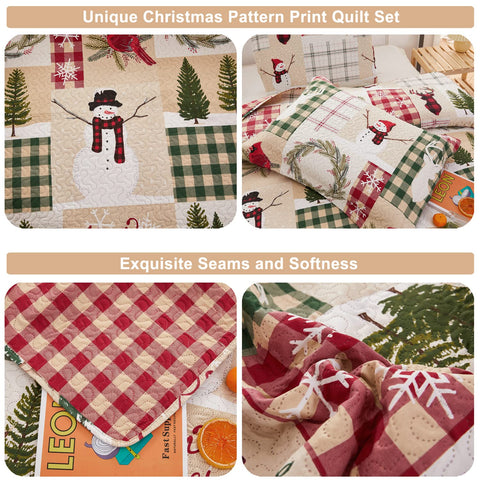 CHESITY Christmas Quilts Set Queen Size