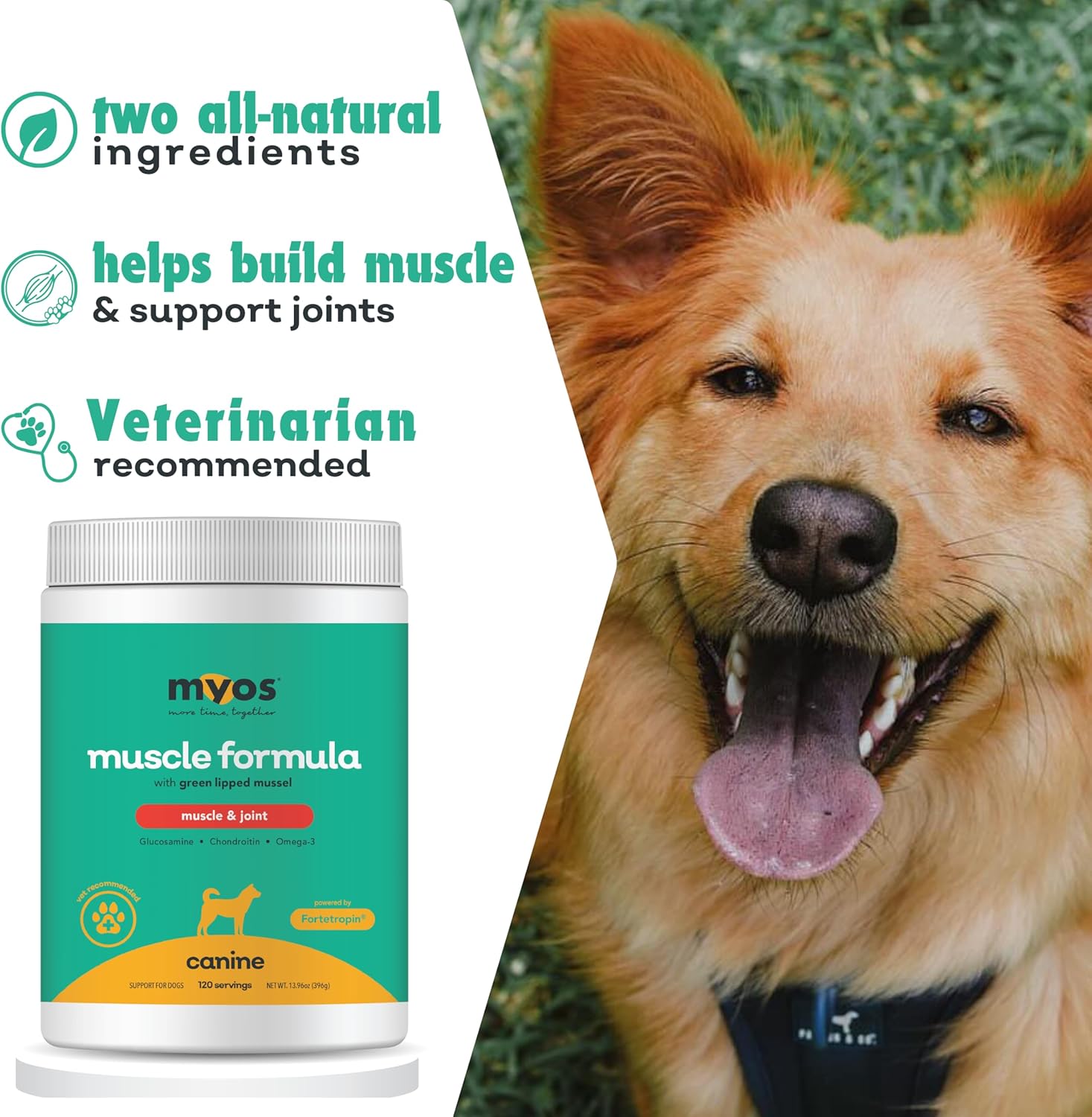 MYOS Canine Muscle & Joint Supplement- Fortetropin & Green Lipped Mussel