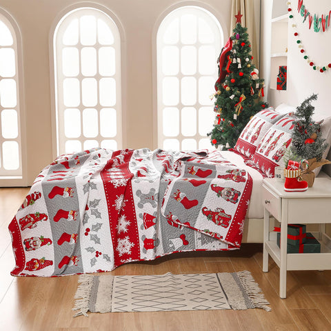 CHESITY Christmas Quilts Set Queen Size