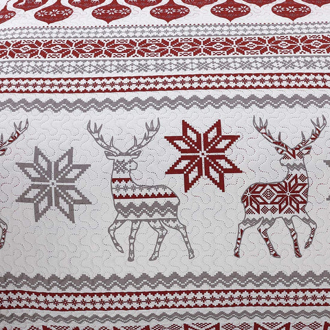 CHESITY Christmas Quilts Set Queen Size