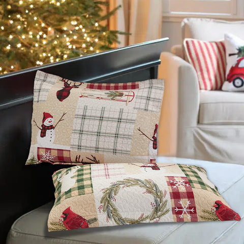 CHESITY Christmas Quilts Set Queen Size