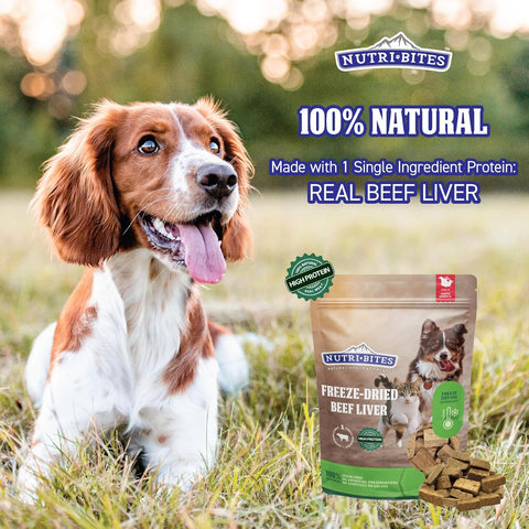 Nutri Bites Liver Treats for Dogs & Cats