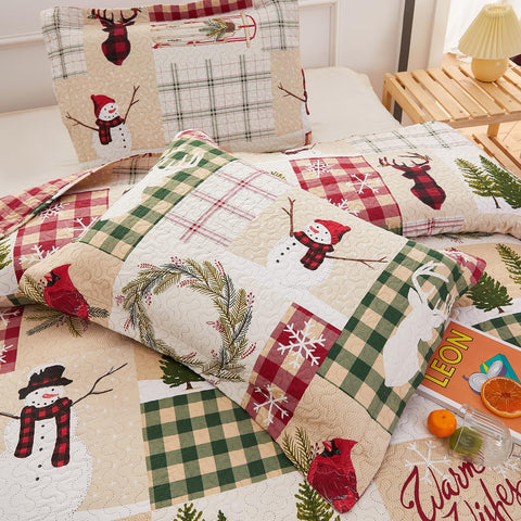 CHESITY Christmas Quilts Set Queen Size