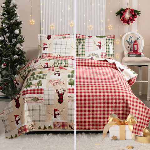 CHESITY Christmas Quilts Set Queen Size