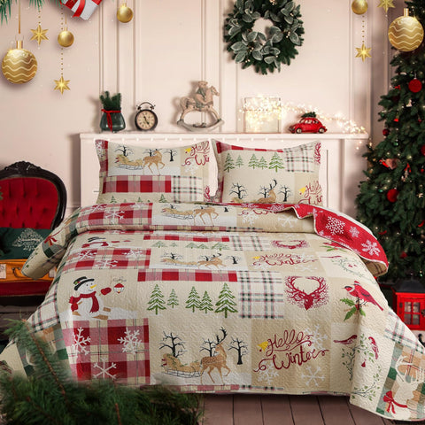 CHESITY Christmas Quilts Set Queen Size