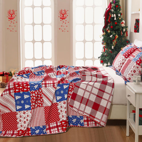 CHESITY Christmas Quilts Set Queen Size