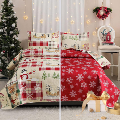 CHESITY Christmas Quilts Set Queen Size