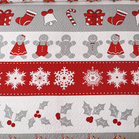 CHESITY Christmas Quilts Set Queen Size