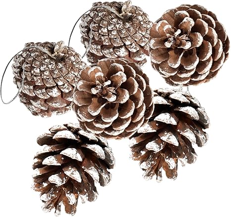 24 PCS Pine Cones for Christmas Tree