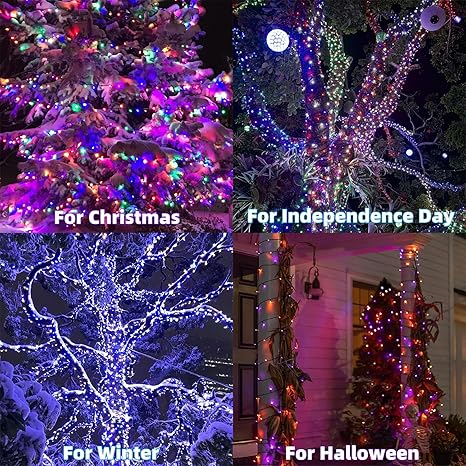 HOME LIGHTING 66ft Christmas Decorative Mini Lights