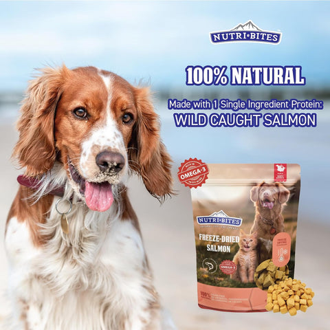 Nutri Bites Freeze Dried Salmon Dog Food